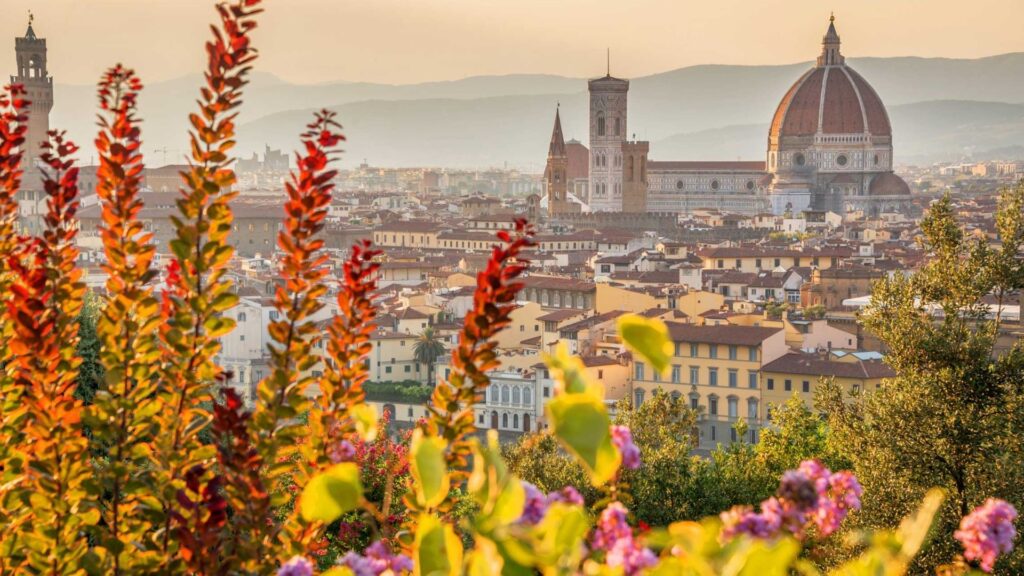 Weed in Florence florence, tuscany, italy