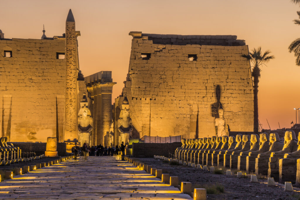 Weed in Luxor luxor temple