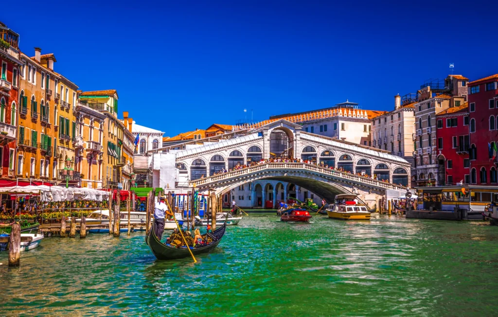Weed in Venice sh 634572671 rialto bridge on grand canal venice