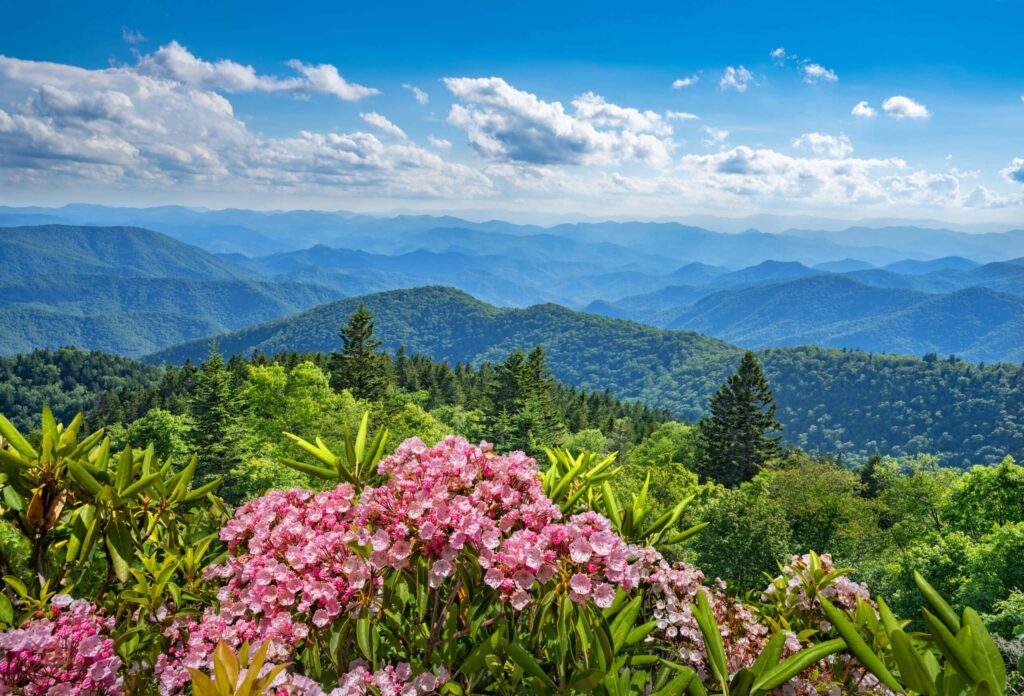 Ultimate Smoky Mountains Travel Bundle 2026
