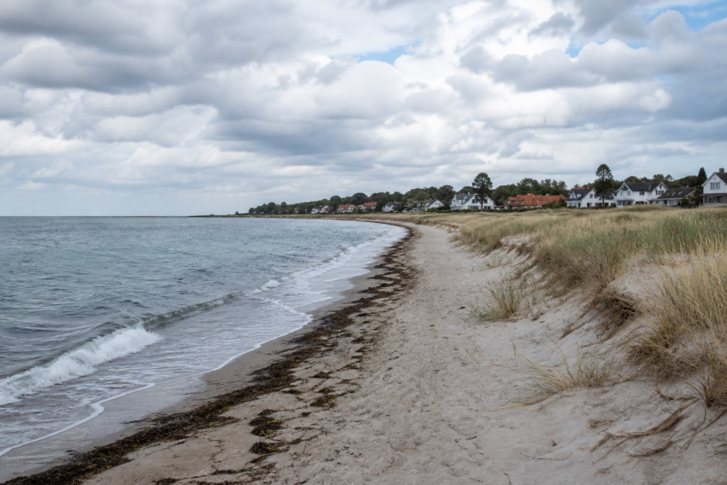 The sandy shoreline at Greve Strand in Denmark